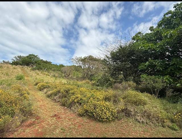 LAND FOR SALE IN ZINI RIVER ESTATE